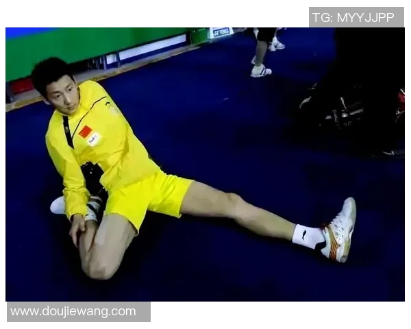 羽毛球巨献：深入解析南京羽毛球队运动员的个人技术与战术能力